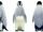 White-Faced Penguin