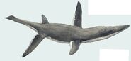 Liopleurodon