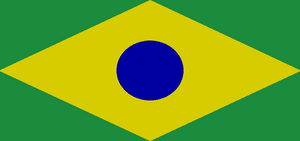 Amazon flag.png