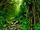 Californian subtropical rainforest (SciiFii)