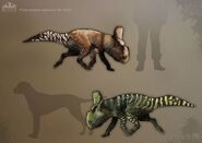 Protoceratops