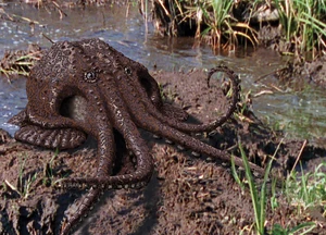 The swampus uses its forearms to grab items of vegetation and pull itself along through the swamp.