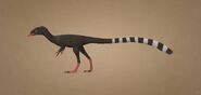 Compsognathus