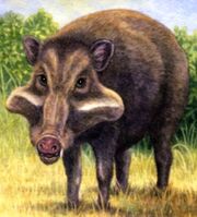 Skinnerhyus (SciiFii).jpg