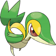 Snivy