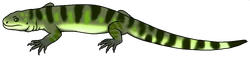 Bicuspidon hatzegiensis