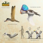 The first pterosaurs of Prehistoric Kingdom