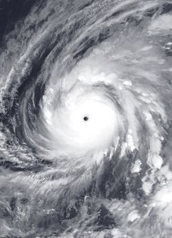 Typhoon Yutu