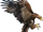 Haast's eagle (SciiFii)