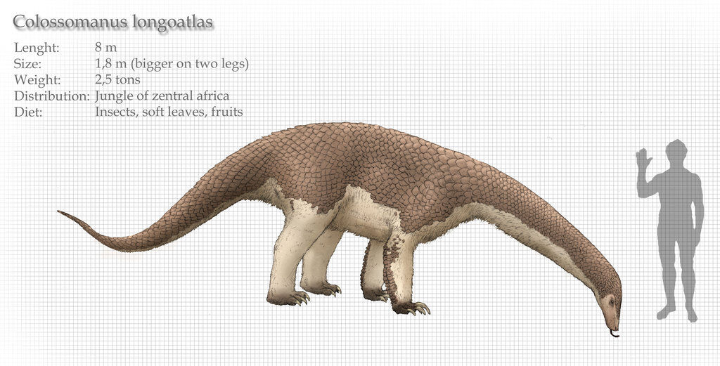 Mokele-mbembe (SciiFii), Fanon Wiki