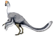 Oviraptor