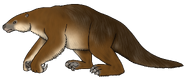Shasta sasquatch (Nothrotheriops shastensis)
