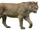 Panthera leo fossilis (SciiFii)