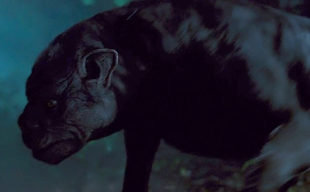 What Kind of Dog was Used in The Hunger Games? Uncover the Truth