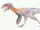 Velocityrannus