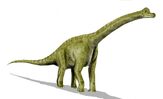 Brachiosaurus, a species of sauropod native to the woodlands and grasslands of Dinosaur Island.