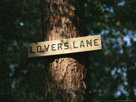 Lovers Lane.jpg