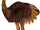 Asian ostrich (SciiFii)