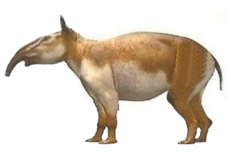 Common Tapir | Fanon Wiki | Fandom