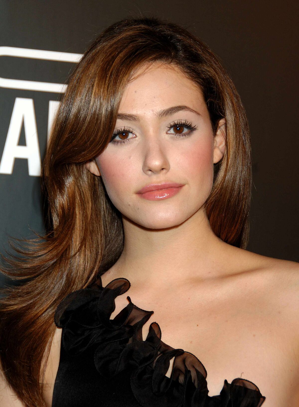 category-films-featuring-emmy-rossum-fanon-wiki-fandom