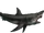 Carcharodon caifassii (SciiFii)