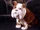 Churchill the Dog