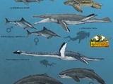 Prehistoric Kingdom