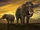 Common Californian Elephant