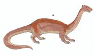 Ogcozoicus coelurus (long-necked abbergant).