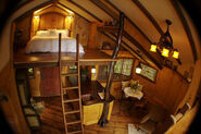 Frank's treehouse (inside)