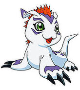 Gomamon