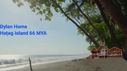 Dylan's Dream Home