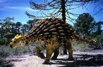 Ankylosaurus, one of the rarest dinosaurs of Future Island, it is only found in woodlands and other forests of the Island