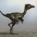 Troodon, one of the most common carnivorous dinosaurs of the island and the introduced ones in mainland USA, where, like Coelophysis, they are thriving and are also tolerating human activities, as well as adapting to human settlements, where they became overabundant as well