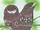 American Frogmouth