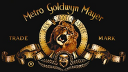 Metro Goldwyn Mayer