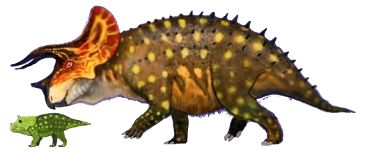 ミュージック TRICERATOPS LIVE! A FILM ABOUT THE BLUES TRICERATOPS LIVE! 