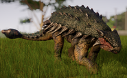 Ankylosaurus (Male)