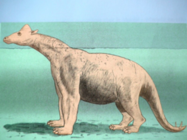 Speculative Biology of the Mokele-Mbembe! 