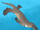 Sea platypus (SciiFii)