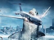 'A Rare sight, Mega Shark attacking a plane to south america, The Mega Shark is rairly seen because it lives in very deep waters same goes to the giant octopus and crocosaurus.