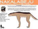 Nakalabeju, a large slender relative of a ratel that hunts ground squirrels of the island