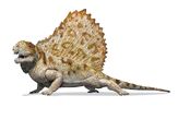 Dimetrodon, a species of synapsid native to the forests of Dinosaur Island.