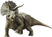 Triceratops ingens