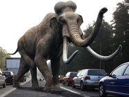Columbian Mammoth appeared on the island.