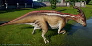Parasaurolophus ingens