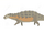 Ankylosaurus hippopotamimoides