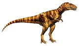 Alioramus, a species of tyrannosaur native to the grasslands and jungles of Dinosaur Island.