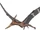 Pteranodon Argentinus