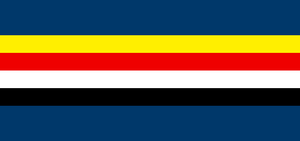 Shenzhou flag